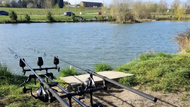 Best 5 Carp Fishing Lakes in Yorkshire to Go Fishing 