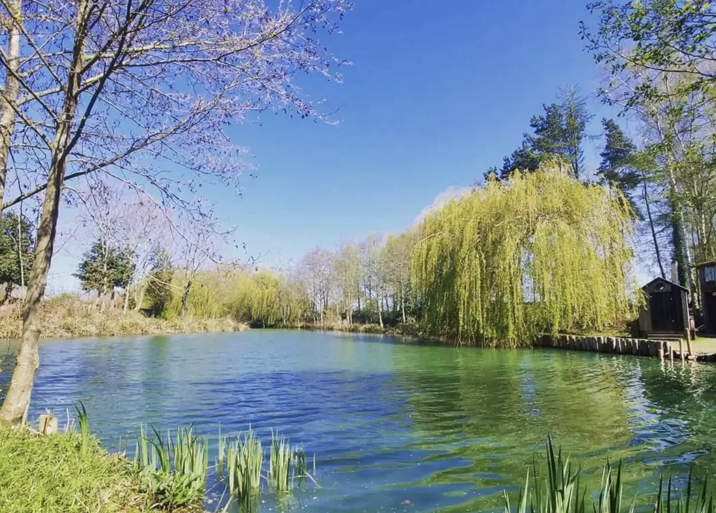 carp fishing lakes in yorkshire